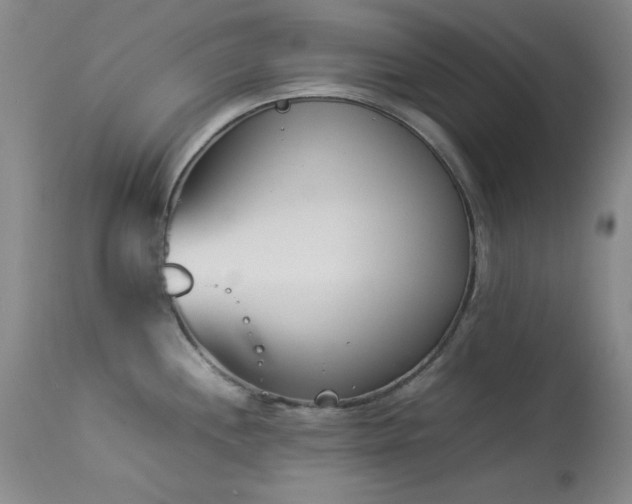 X0000114221244200910091340