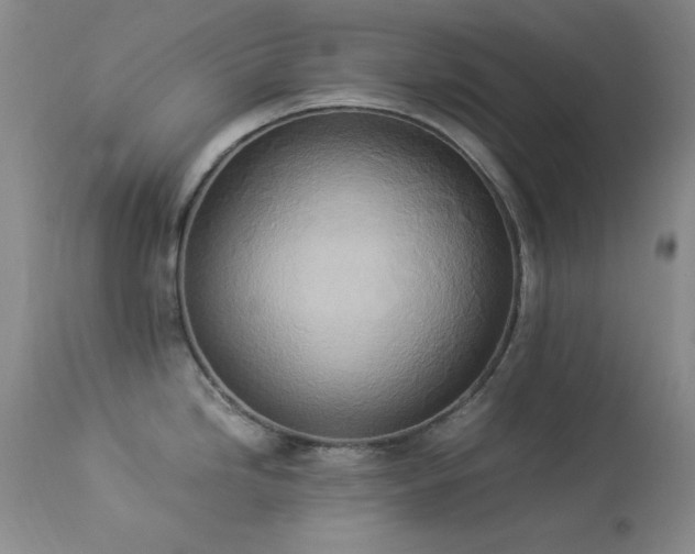 X0000114221246200910091340