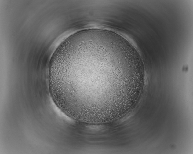 X0000114221247200910091340