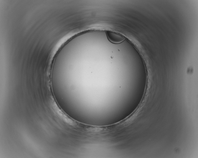 X0000114221248200910091340
