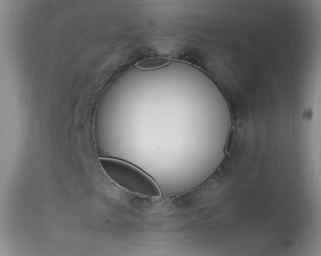 X0000114221249200910091339