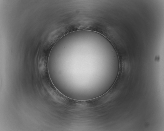 X0000114221250200910091339