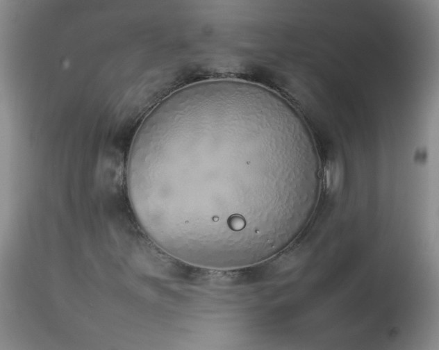 X0000114221251200910091339