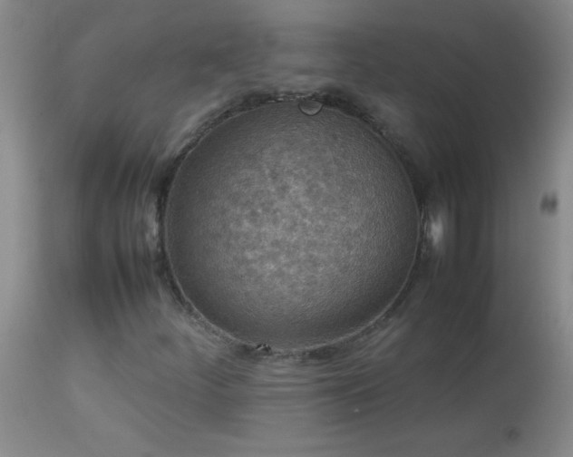 X0000114221252200910091339
