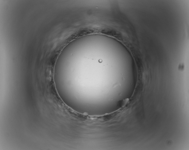 X0000114221253200910091339