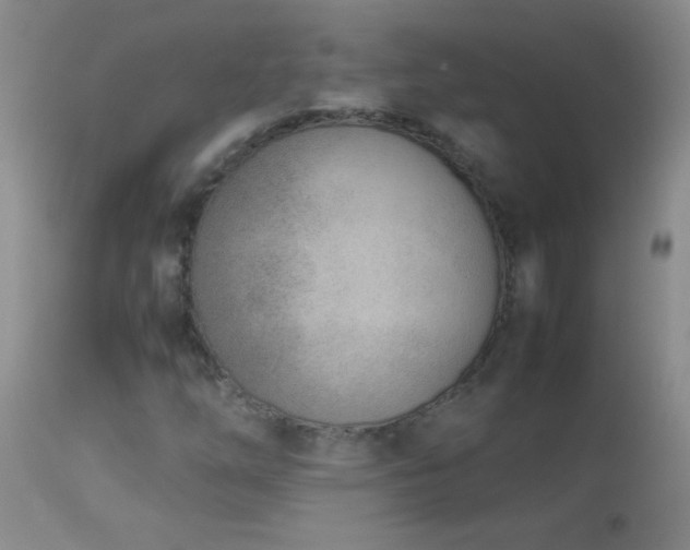 X0000114221254200910091339