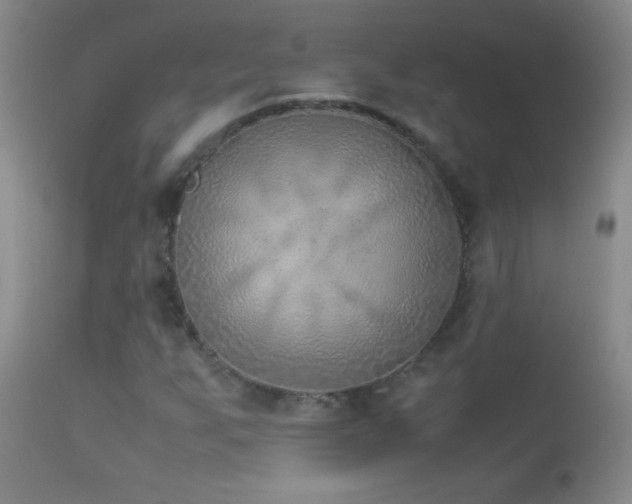 X0000114221255200910091339