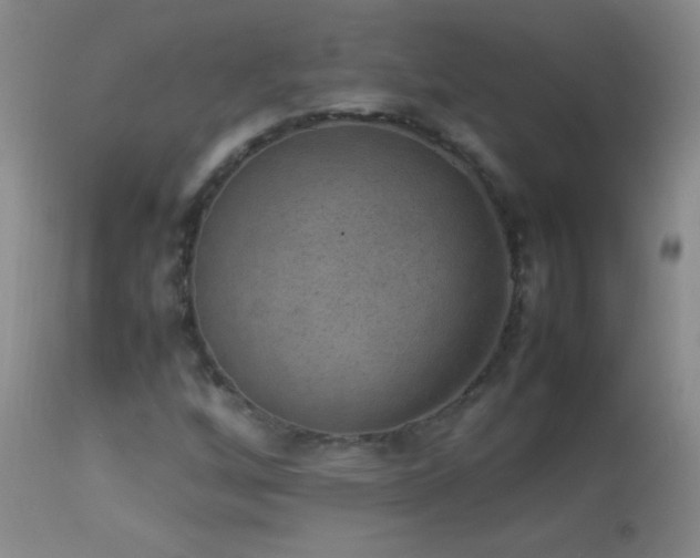 X0000114221256200910091339