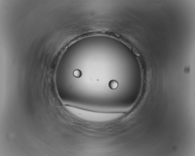 X0000114221257200910091339