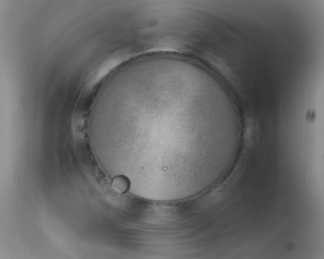 X0000114221258200910091339