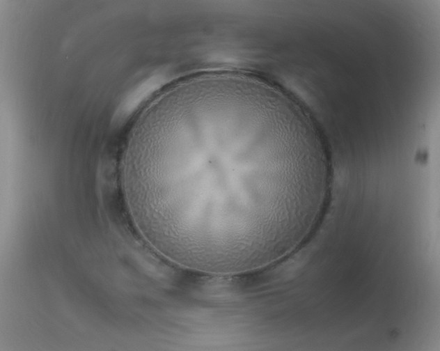 X0000114221259200910091339