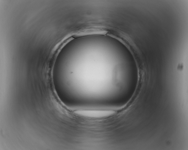 X0000114221260200910091339
