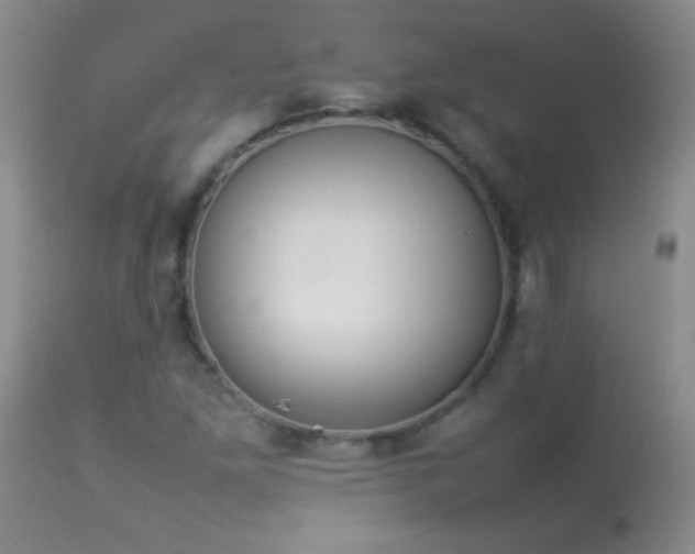 X0000114221261200910091339