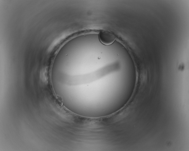 X0000114221262200910091339