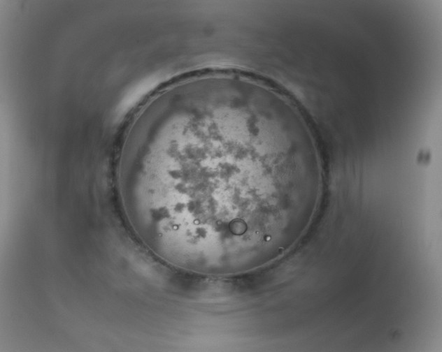 X0000114221263200910091339