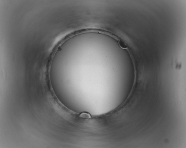 X0000114221264200910091339