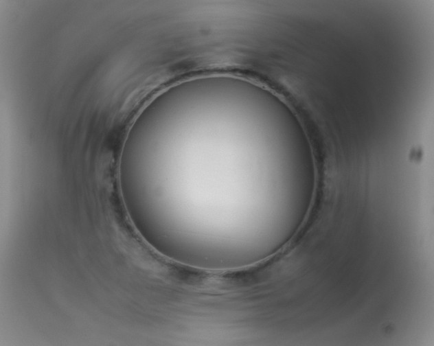 X0000114221265200910091339