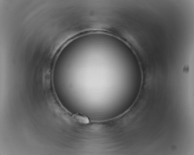 X0000114221268200910091339