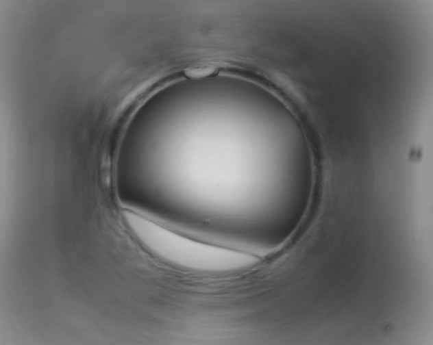 X0000114221269200910091339