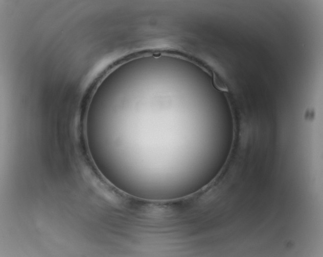 X0000114221270200910091339