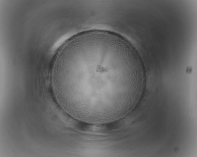 X0000114221271200910091339