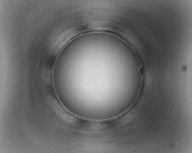 X0000114221273200910091339