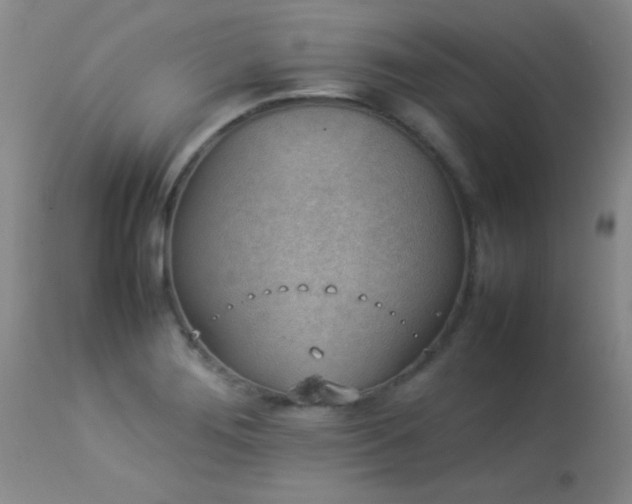 X0000114221276200910091339