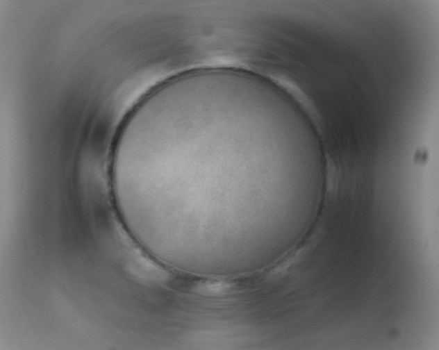 X0000114221278200910091339
