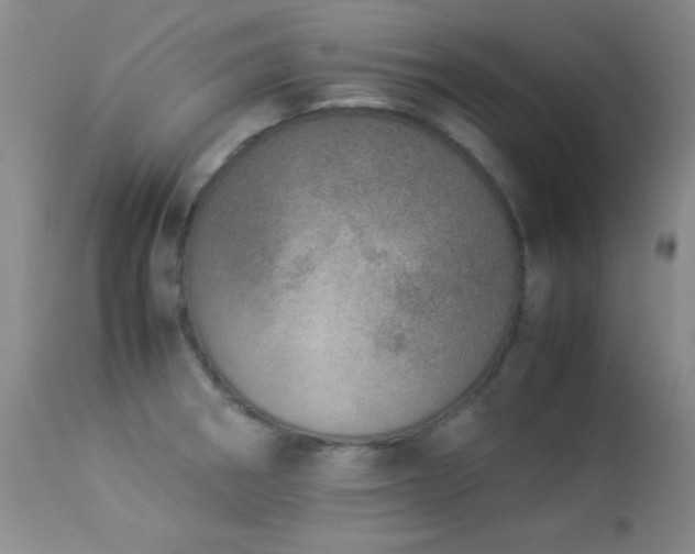 X0000114221282200910091339