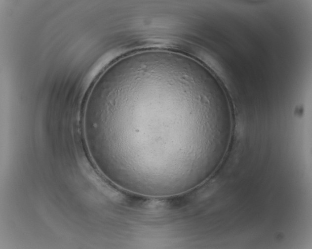 X0000114221283200910091339