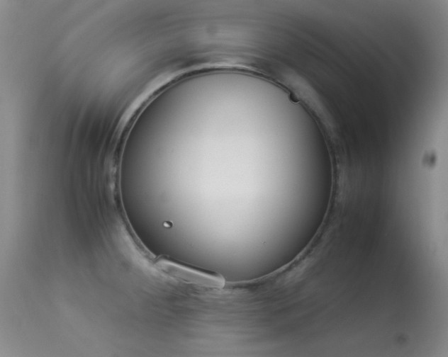 X0000114221284200910091339