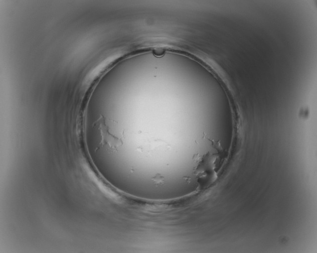 X0000114221285200910091339