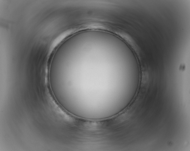 X0000114221286200910091339