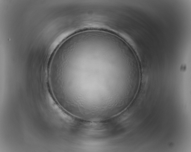 X0000114221287200910091339
