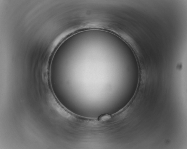 X0000114221288200910091339
