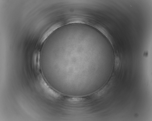 X0000114221290200910091339