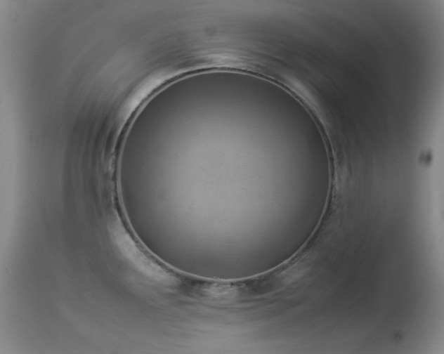 X0000114221291200910091339