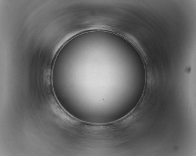 X0000114221292200910091339