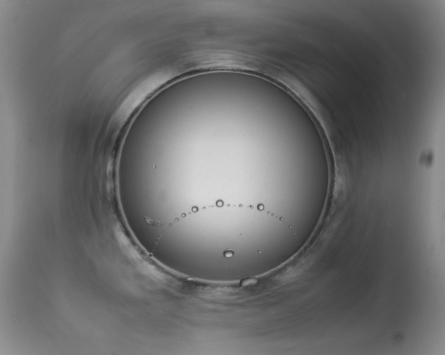 X0000114221293200910091339