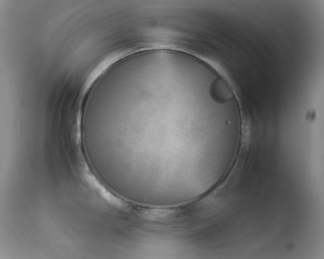 X0000114221294200910091339