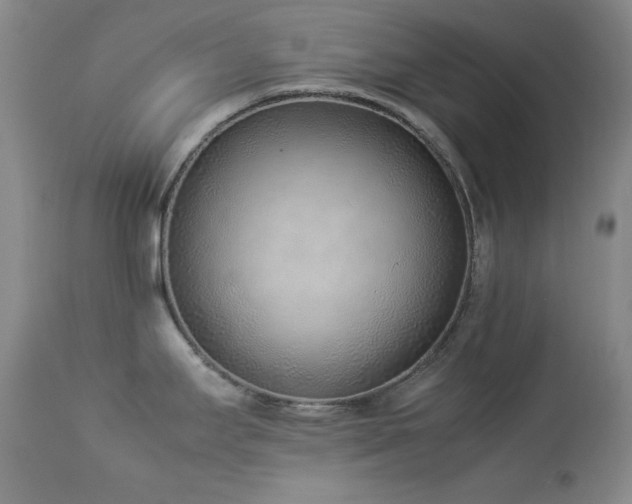 X0000114221295200910091339