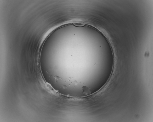X0000114221296200910091339