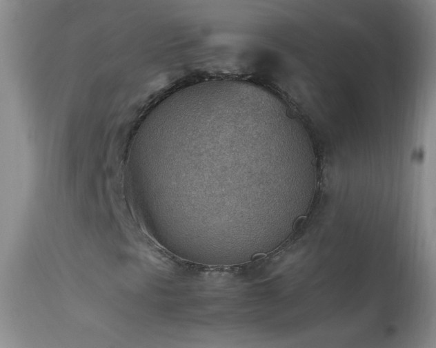 X0000114221297200910091338