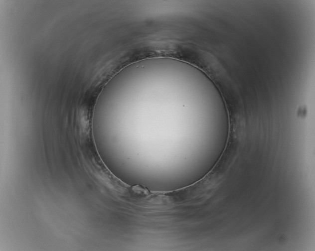 X0000114221298200910091338