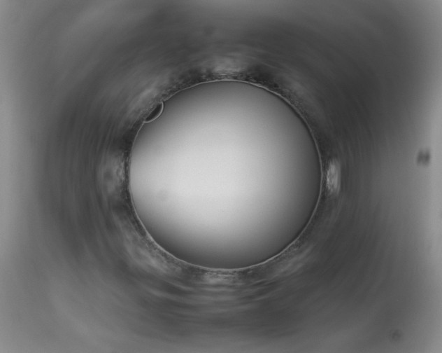 X0000114221299200910091338