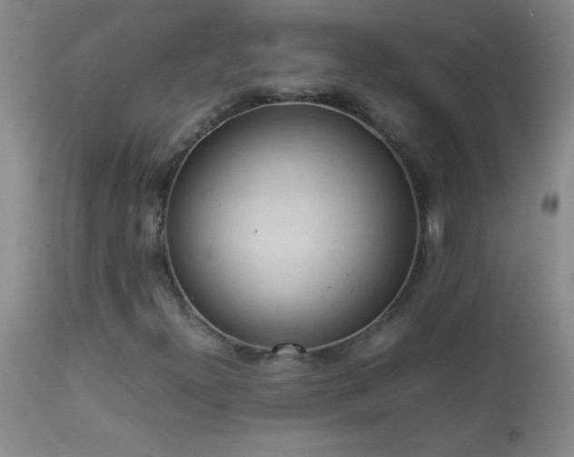 X0000114221300200910091338