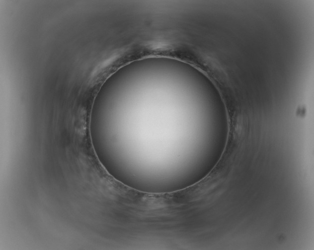 X0000114221301200910091338