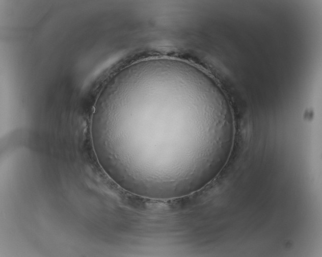 X0000114221302200910091338