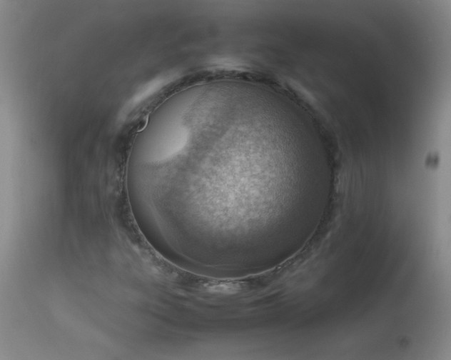 X0000114221303200910091338