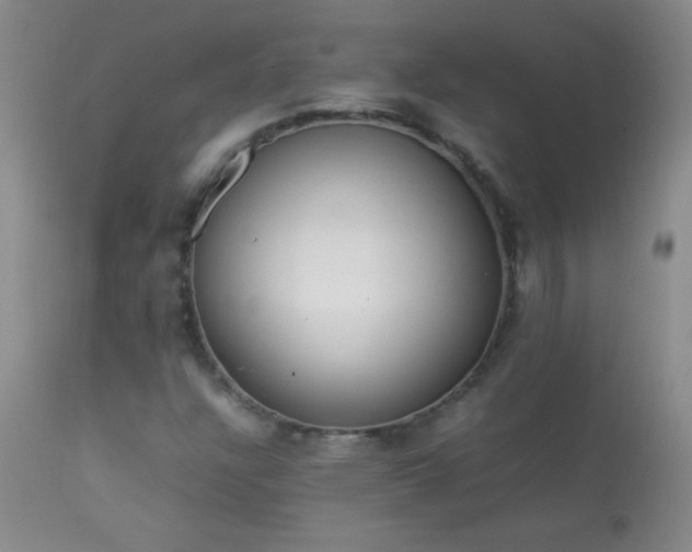 X0000114221304200910091338